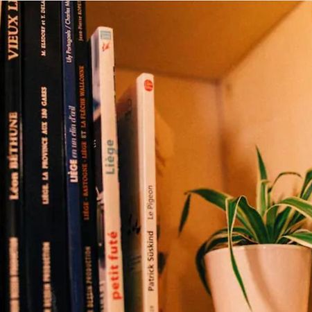 Le Pigeonnier - Tinyhouse En Plein Centre De Liege Hotel Luaran gambar